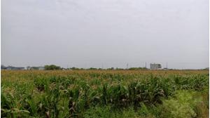 台灣房屋佳里加盟店 - 下營正中山路△農地